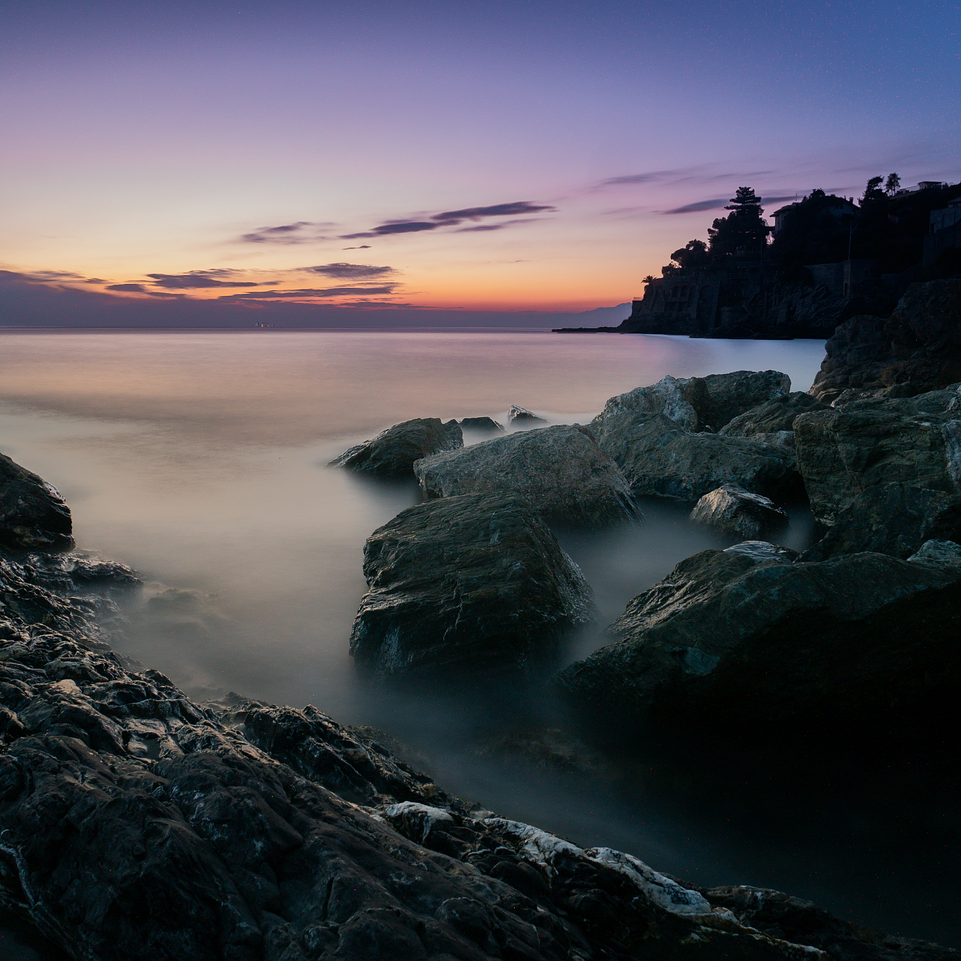 Dragon's Blood Elixir