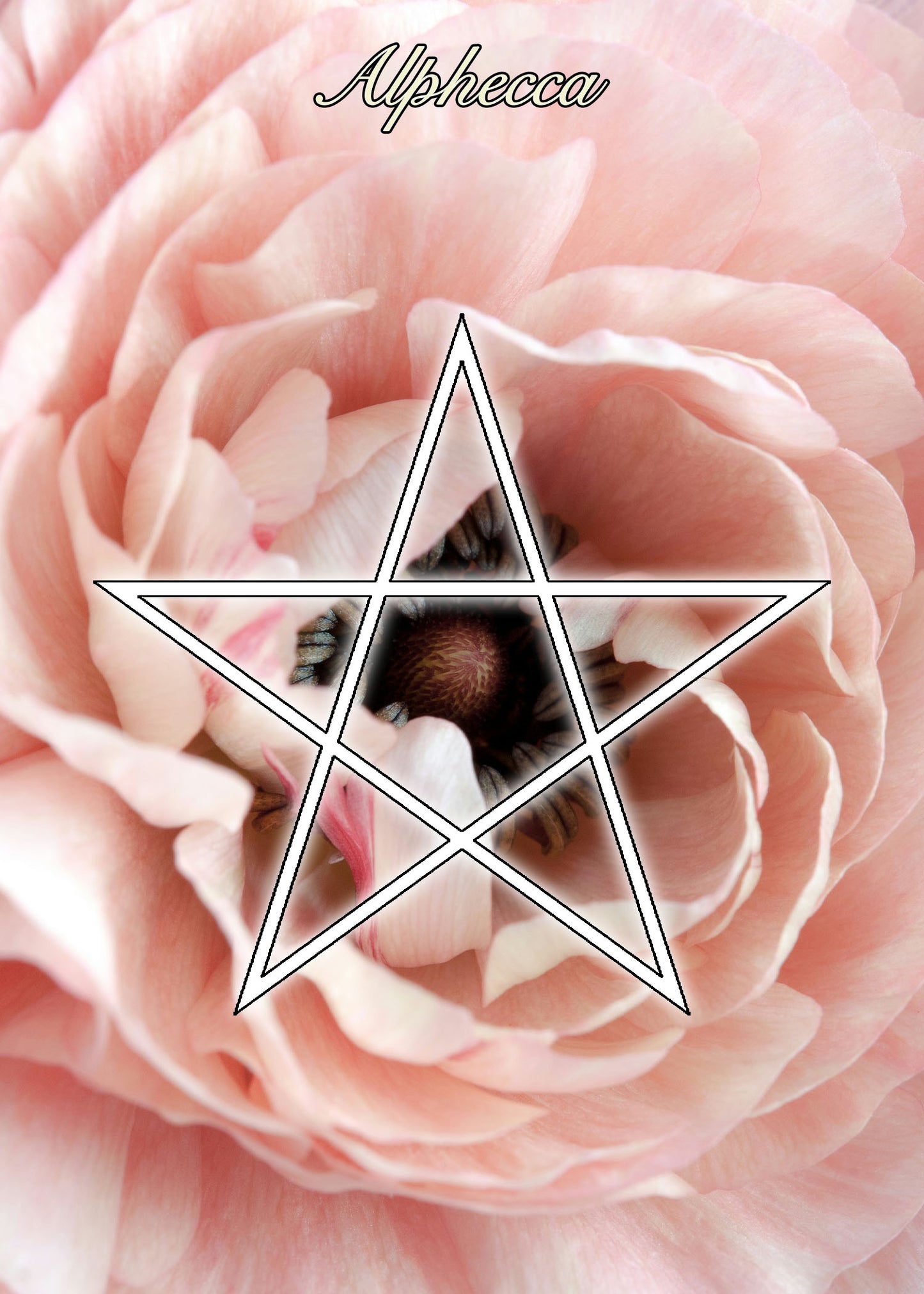 Alphecca Starlight Ritual Candle Kit