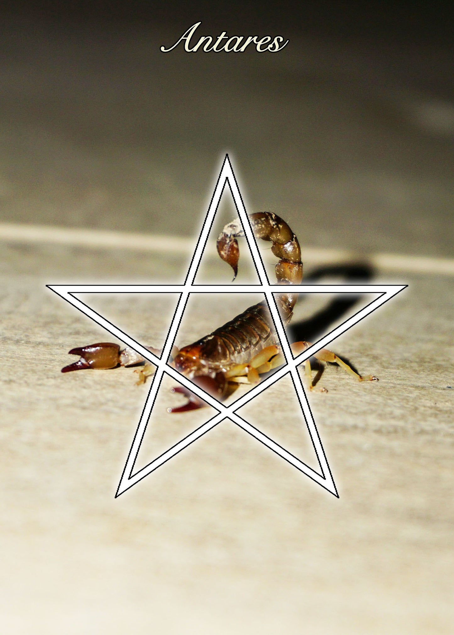 Antares Starlight Ritual Candle Kit