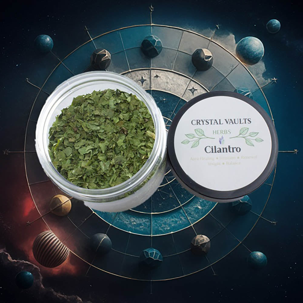 Celestial Aligned Cilantro