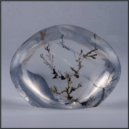 Dendritic Agate Crystal Essence