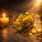Celestial Aligned St John's Wort — The Sun Caught in a Flower