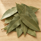 Celestial Aligned Bay Leaf - The Laurel of Apollo