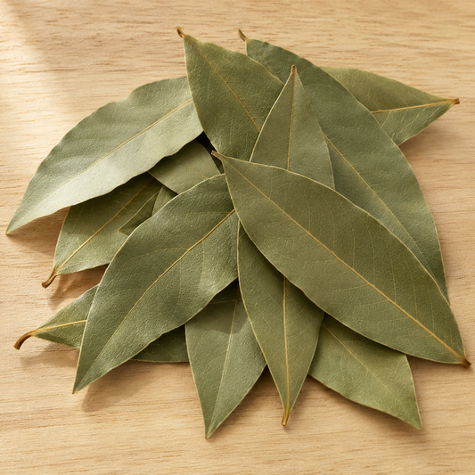 Celestial Aligned Bay Leaf - The Laurel of Apollo