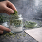 Celestial Aligned Spearmint -  The Gentle, Friendly Mint