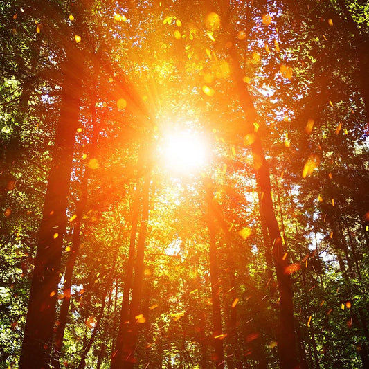 “Sunlit Clarity” An Enchanted Crystal Infused Iced Tea