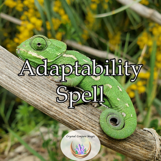 Adaptability Spell - become more flexible and resilient in the face of change