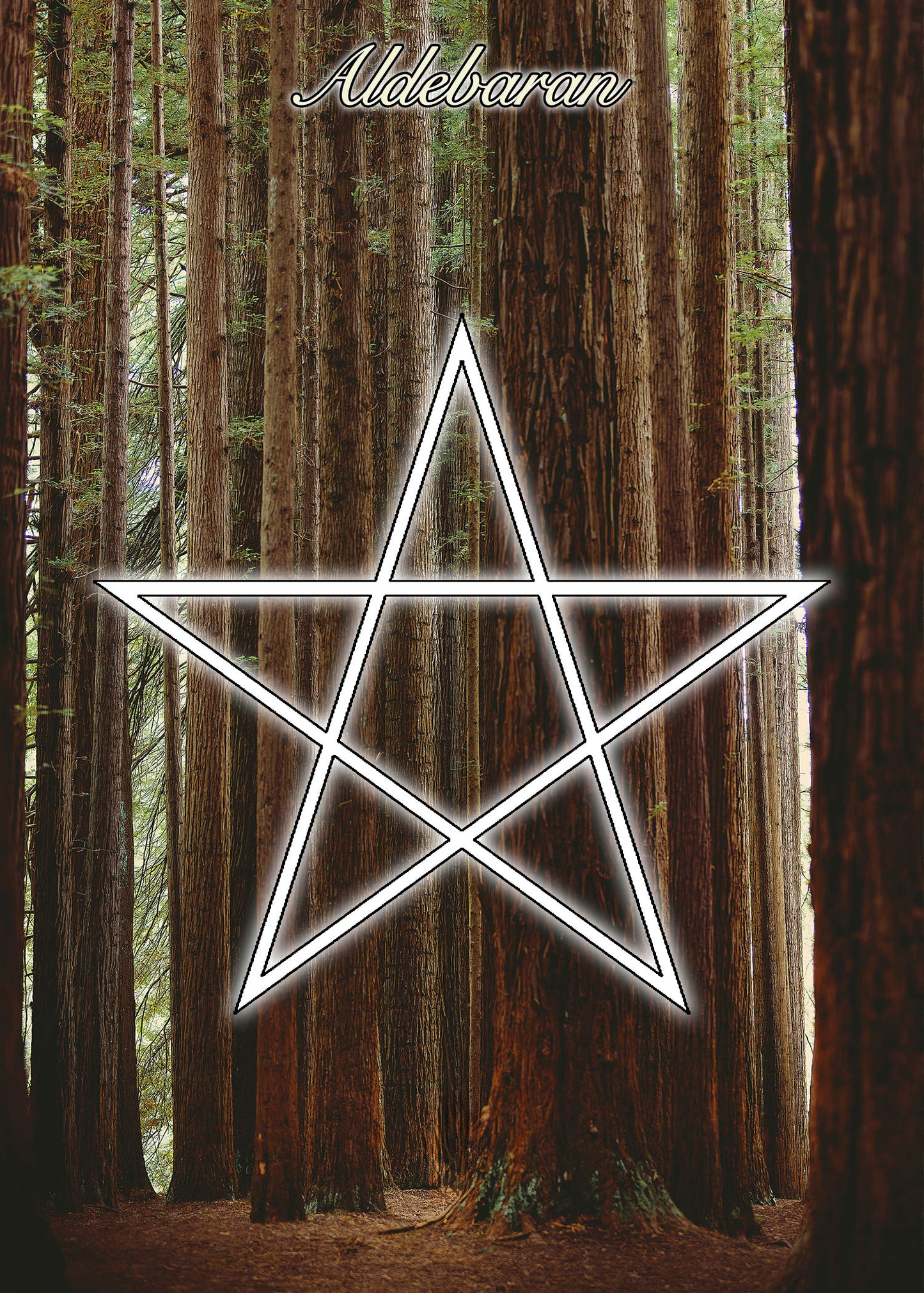 Aldebaran Starlight Ritual Candle Kit