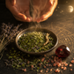 Celestial Aligned Cilantro - The Herb of Two Natures