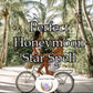 Perfect Honeymoon Star Spell