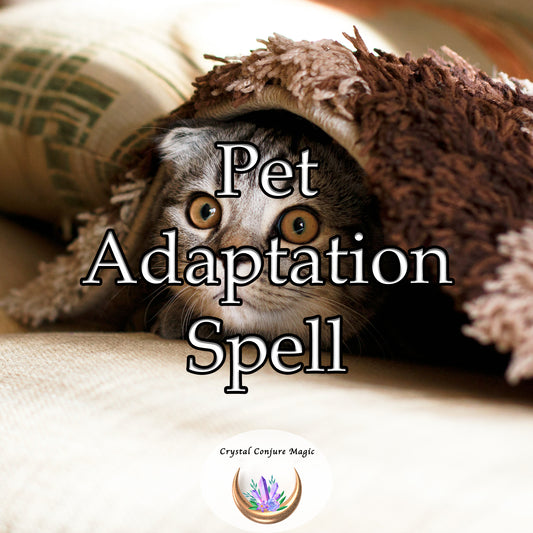 Pet Adaptation Spell - help your beloved pet comfortably adapt to new surroundings