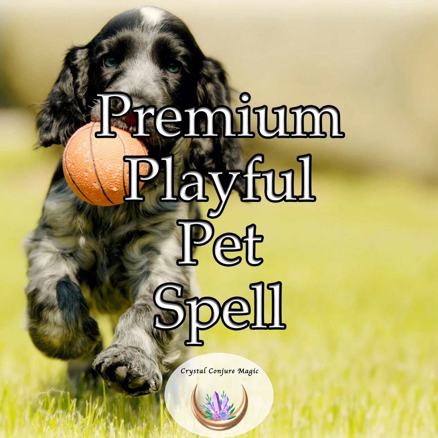 Premium Playful Pet Spell - transform your pet's behavior to be fun and frisky