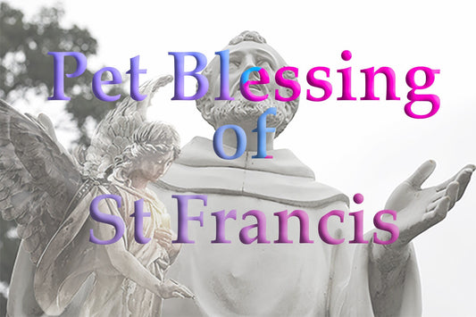 Pet Blessing of Good Health and Love |  by St Francis and Angel Fhelyai, guard and protect with FREE blessing card to frame