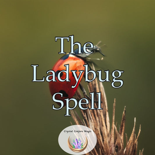 Ladybug Spell - an enchantment to infuse your life with good fortune, protection, and healing and gently guide you towards the right path