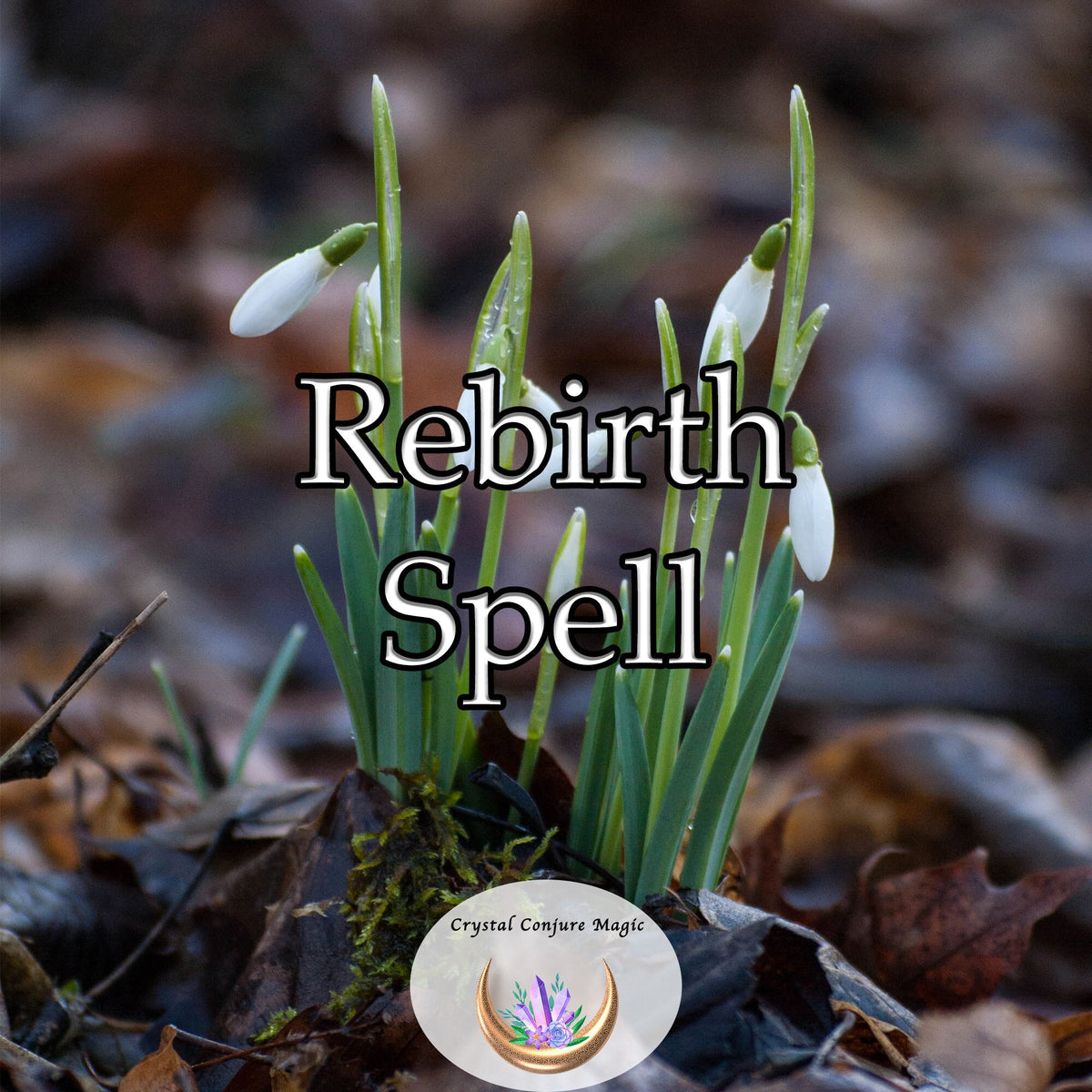 Rebirth Spell Rebirth Spell - amplifies your life force, reinstating the youthful en ...