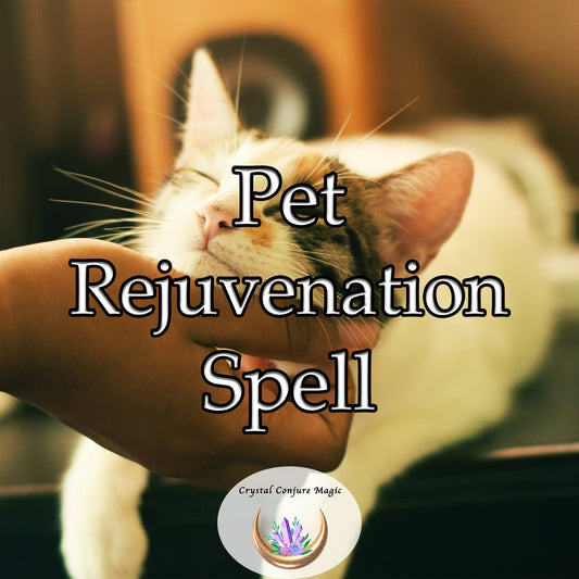 Pet Rejuvenation Spell - bring back the bounce, playfulness, and enthusiasm of your pet
