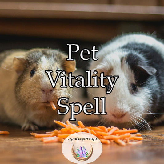 Pet Vitality Spell - boost your pet's overall well-being, helping them live their best life