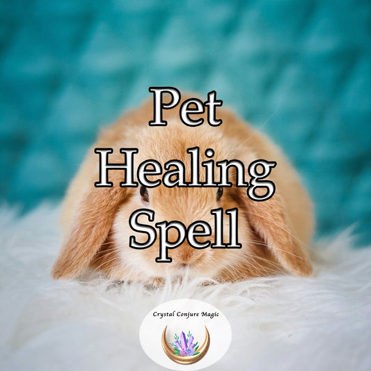 Pet Healing Spell - help your pet feel more comfortable, and content and restore their playful spirit