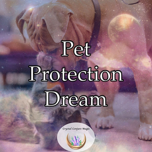 Pet Protection Dream - designed to keep your beloved companions safe, happy, and healthy