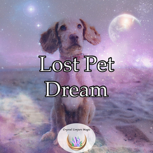 Lost Pet Dream - magnify the invisible line of affection, trust, and understanding with your pet