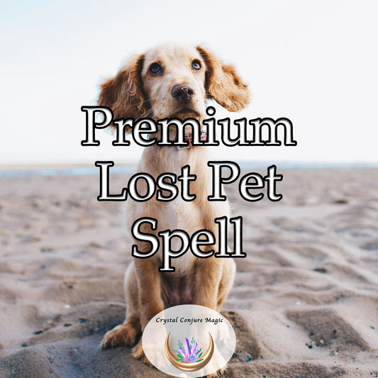 Premium Lost Pet Spell - magnify the invisible line of affection, trust, and understanding with your pet