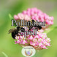 Pollinator Spell - a mystical aura that attracts bees, butterflies, hummingbirds, and other essential pollinators